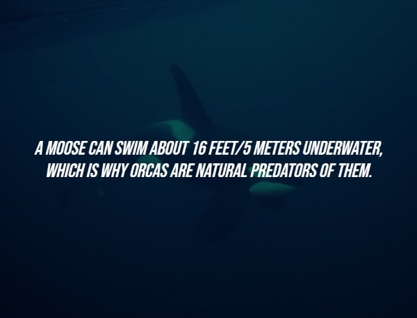 Creepy Facts (15 pics)