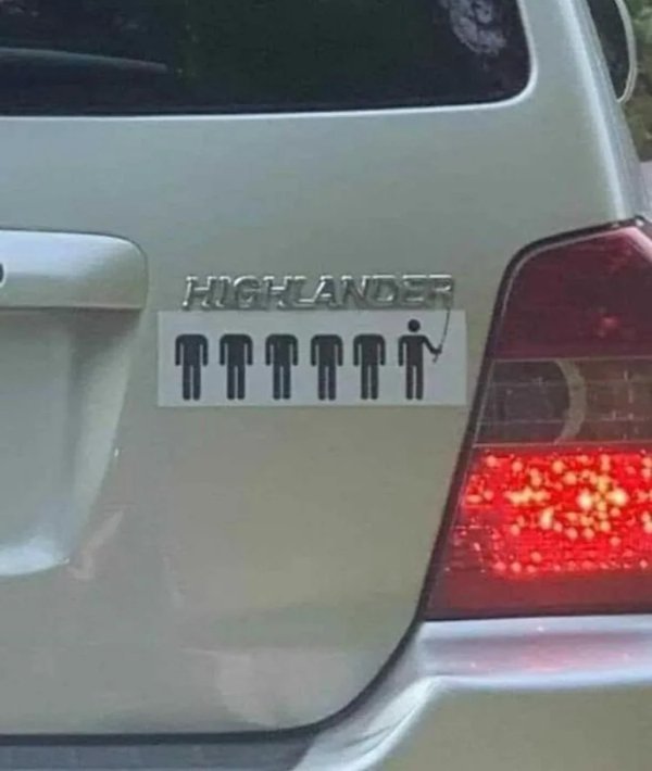 What Is Going On Here? (31 pics)