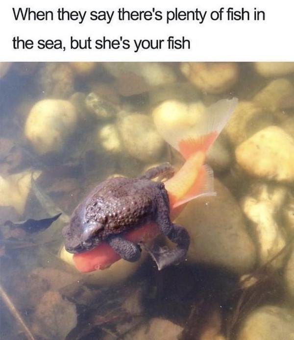 Funny Memes (34 pics)