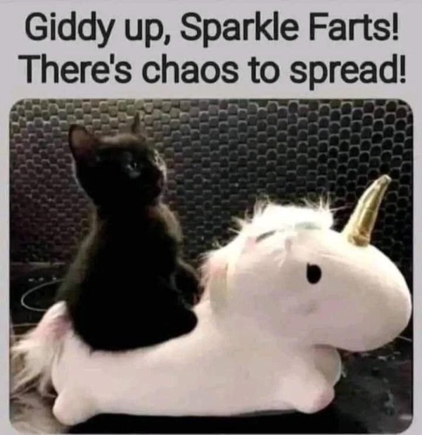 Jokes And Photos For Cat Lovers (31 pics)