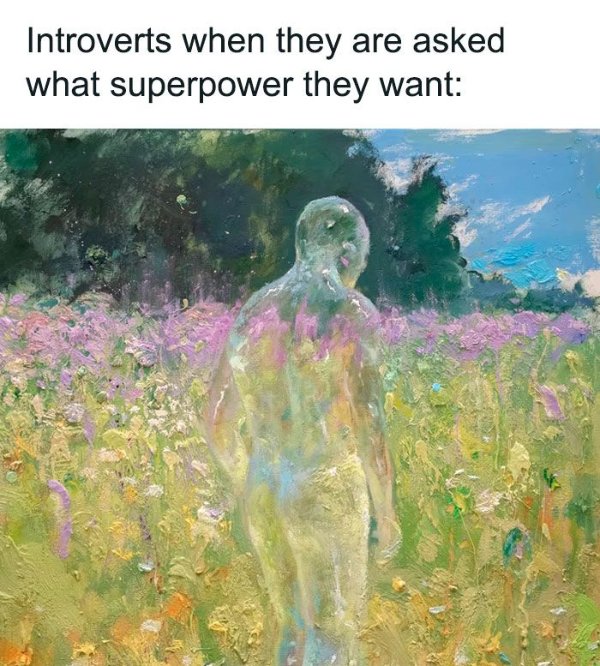 Memes For Introverts (24 pics)