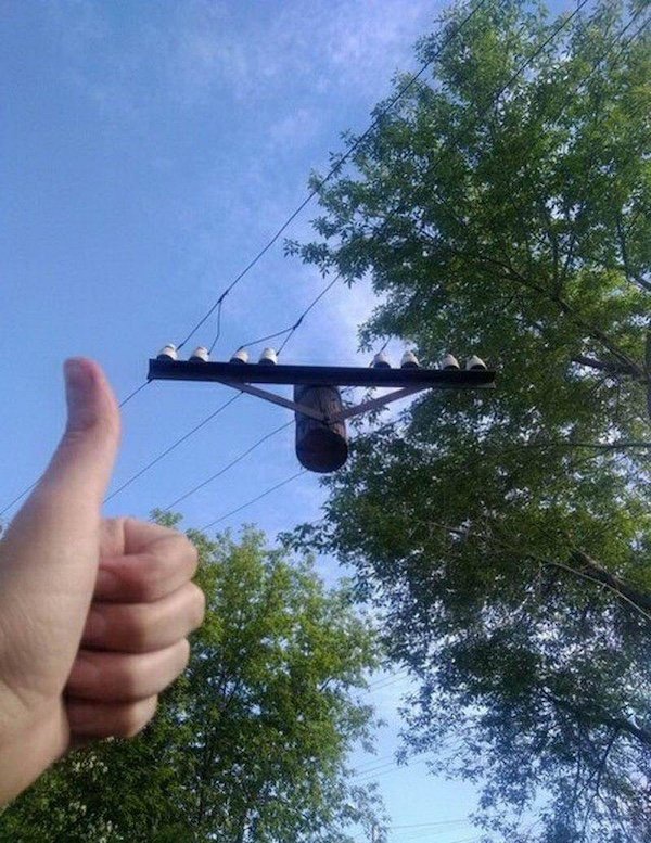 Strange Finds And Situations (35 pics)