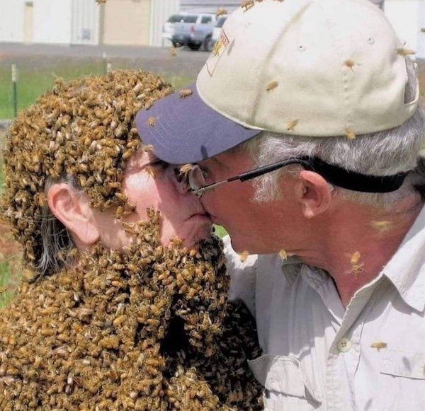Strange Finds And Situations (35 pics)