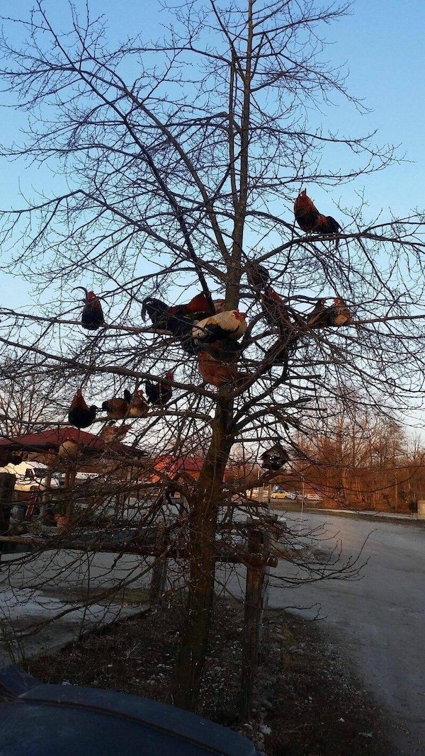 Strange Finds And Situations (35 pics)