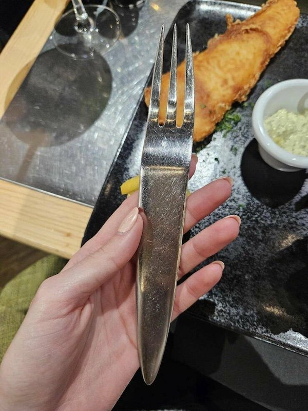 Strange Finds And Situations (35 pics)
