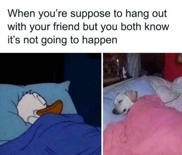 Memes About Relationships (23 pics)