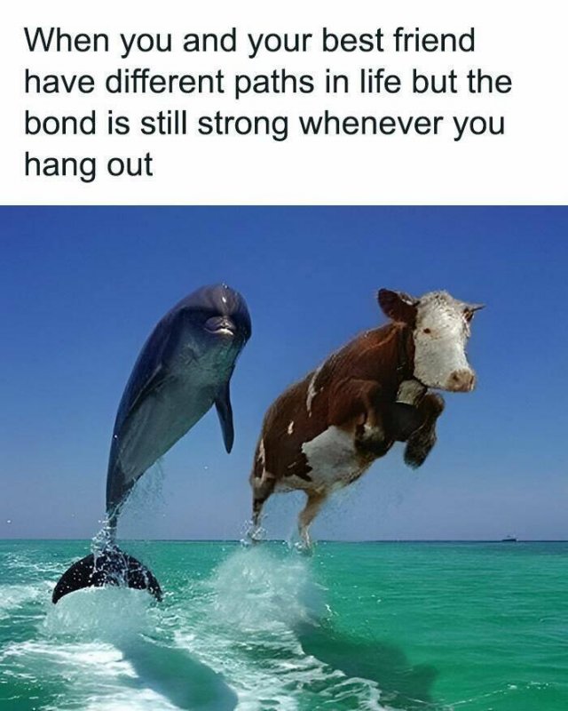 Memes About Relationships (23 pics)