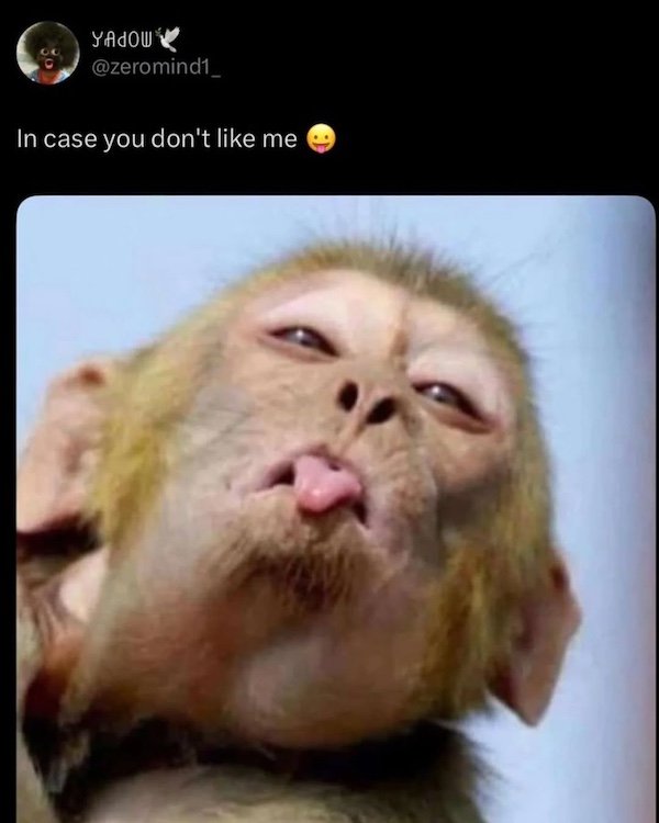 Random Memes (34 pics)