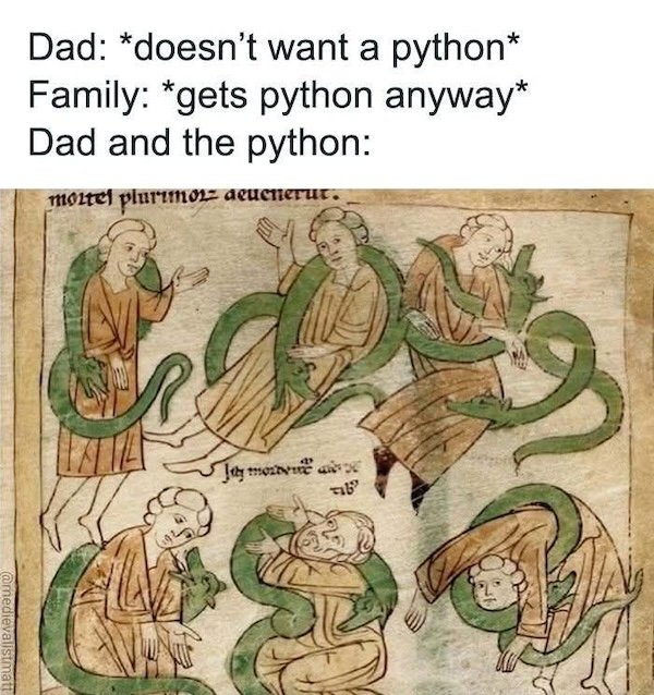 Classical Memes (24 pics)