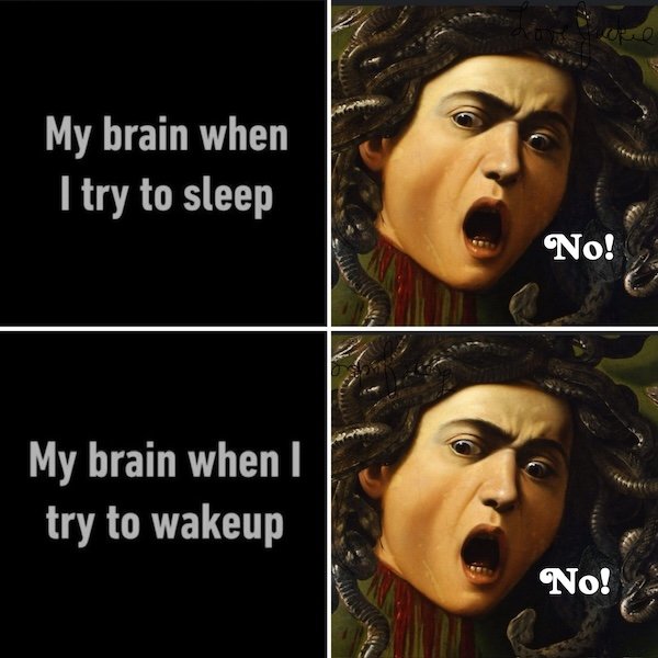 Classical Memes (24 pics)