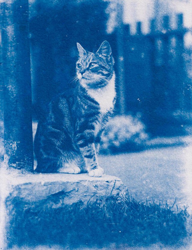 Interesting Finds In Old Houses (25 pics)