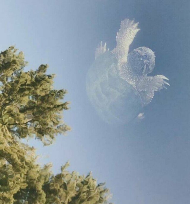 Unusual Finds (24 pics)