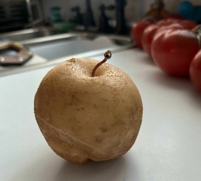 Unusual Finds (24 pics)
