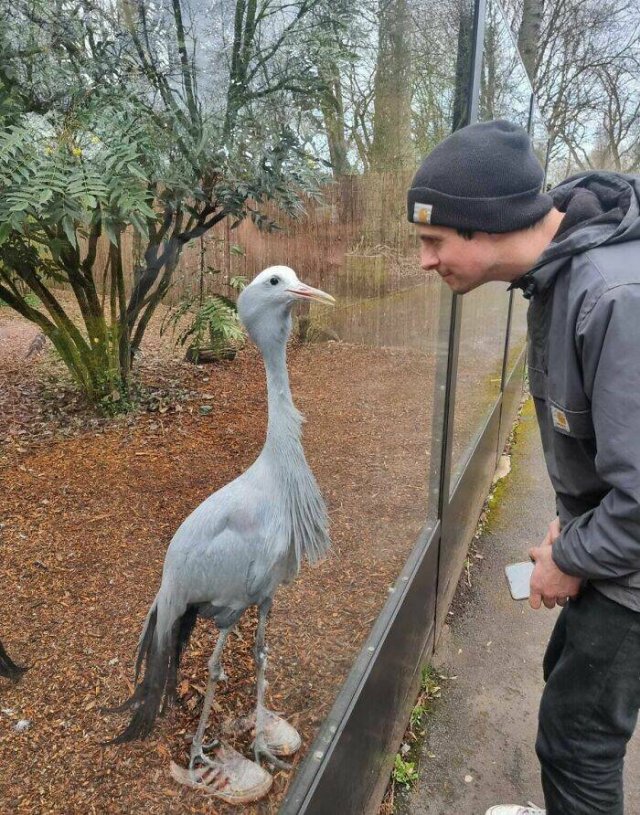 Unusual Finds (24 pics)