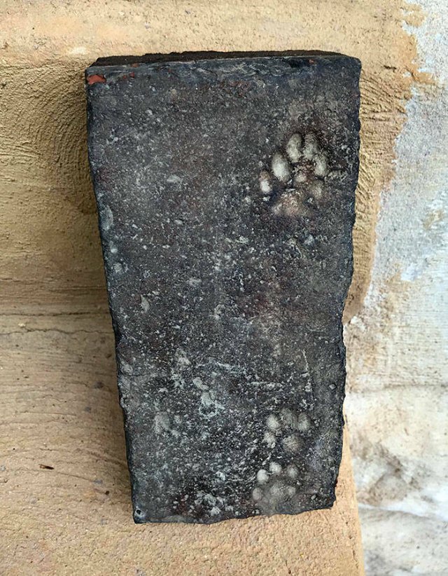 Interesting Finds In Old Houses (25 pics)