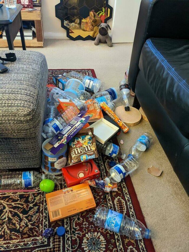 Annoying Habits (27 pics)
