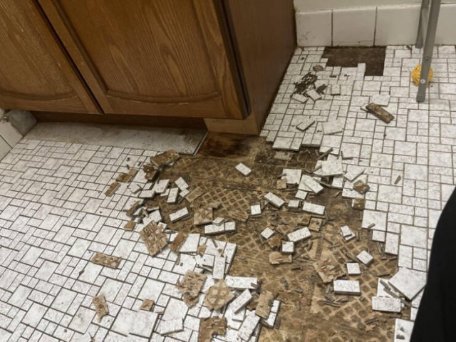 Awful Landlords (24 pics)