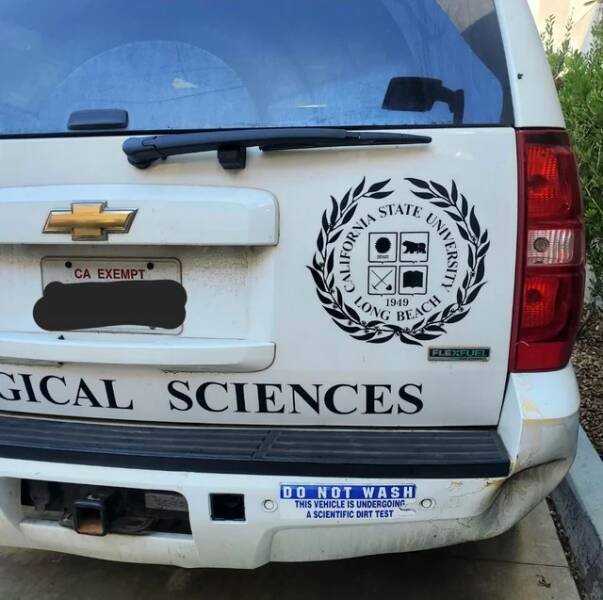 Unusual Finds And Discoveries (20 pics)