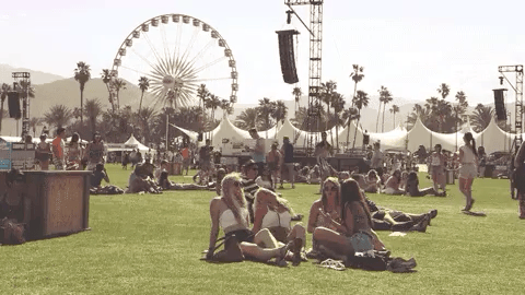 Weird Things People Forgot At Music Festivals (15 gifs)