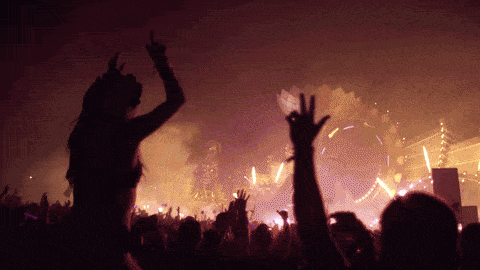 Weird Things People Forgot At Music Festivals (15 gifs)