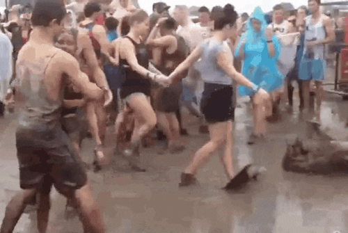 Weird Things People Forgot At Music Festivals (15 gifs)