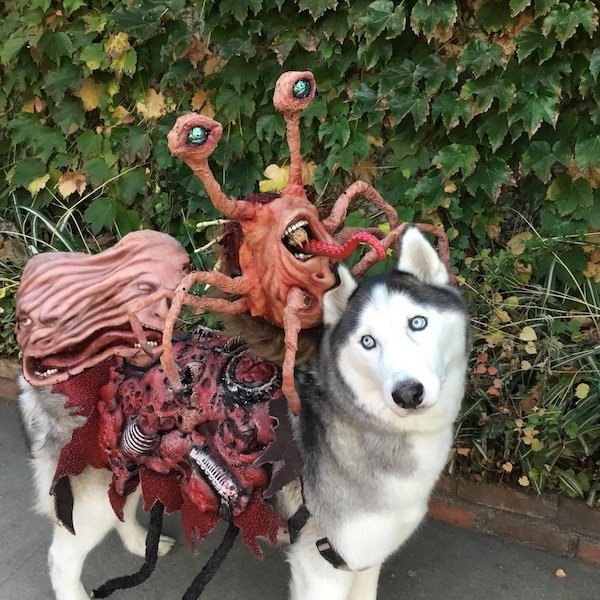 Creepy Photos (29 pics)