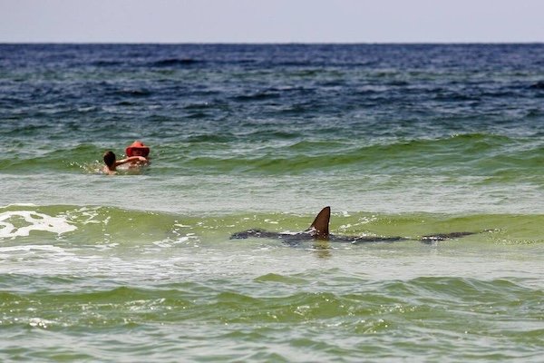 Creepy Photos (29 pics)