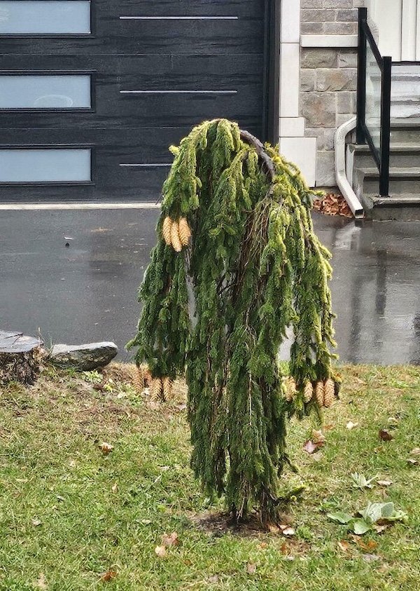 Creepy Photos (29 pics)
