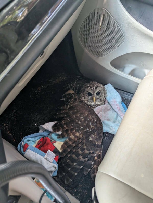 Interesting Finds (24 pics)