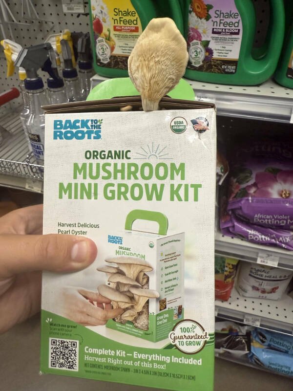 Interesting Finds (24 pics)