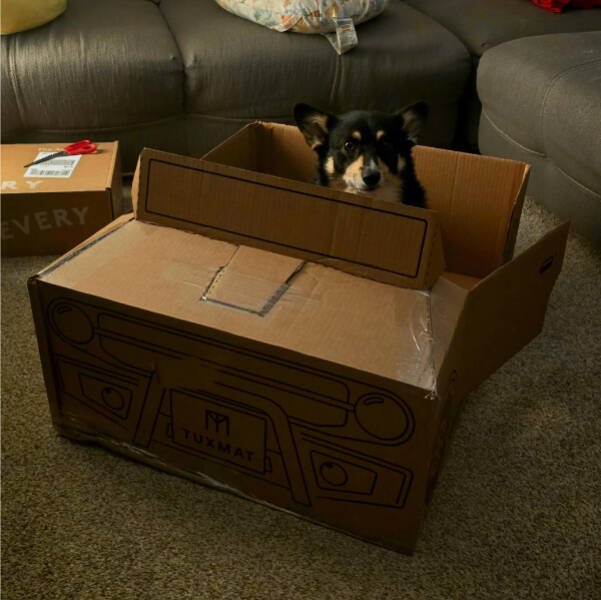 Interesting Finds (24 pics)