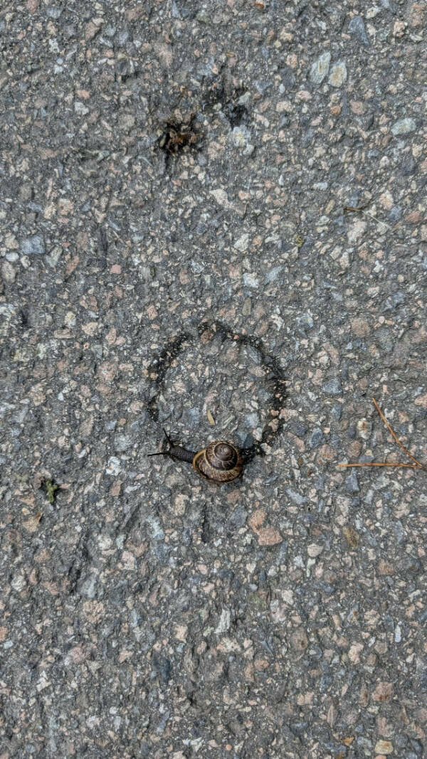 Interesting Finds (24 pics)