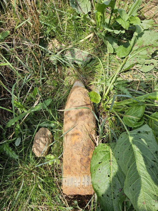 Interesting Finds (24 pics)