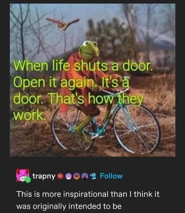 Posts For Good Mood (16 pics)