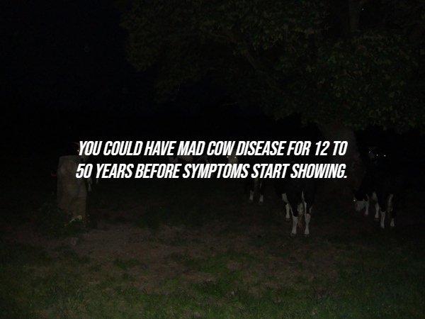 Creepy Facts (15 pics)