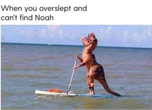 Funny Memes (37 pics)