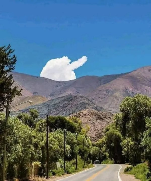 What Is Going On Here? (30 pics)