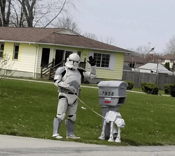 What Is Going On Here? (30 pics)