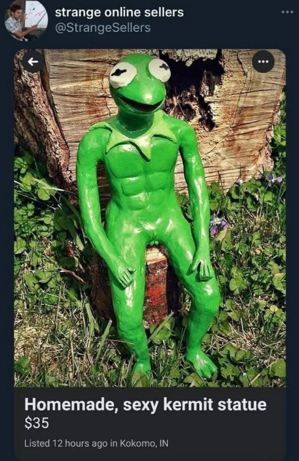 Random Memes (28 pics)