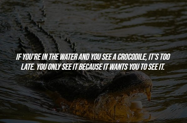 Creepy Facts (15 pics)