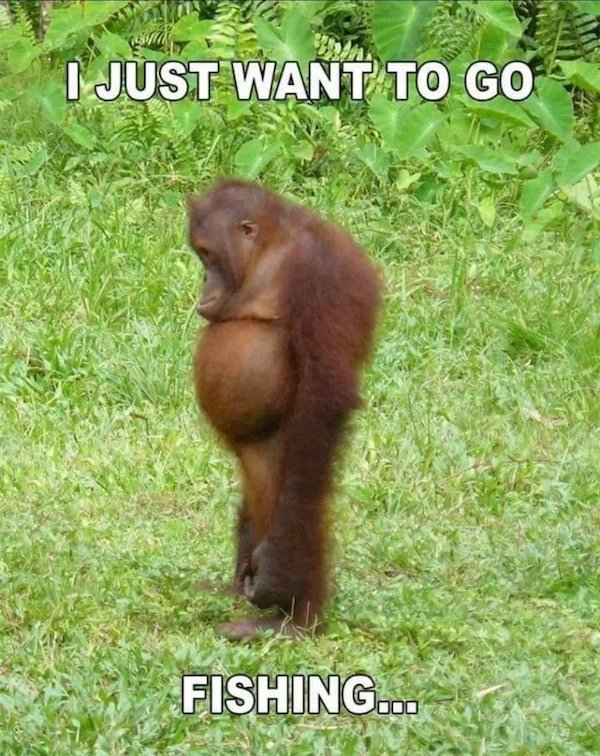 Funny Memes (37 pics)