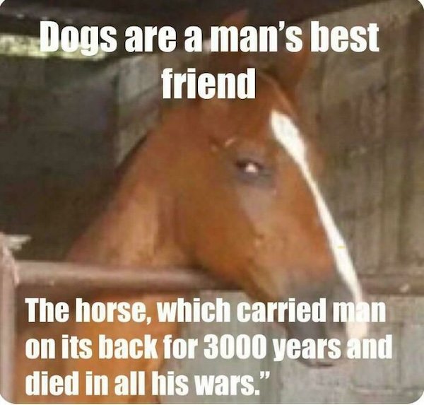 Medieval Memes (25 pics)