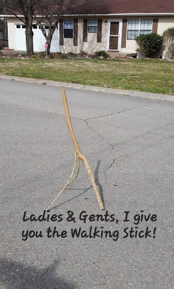 Funny Memes (37 pics)