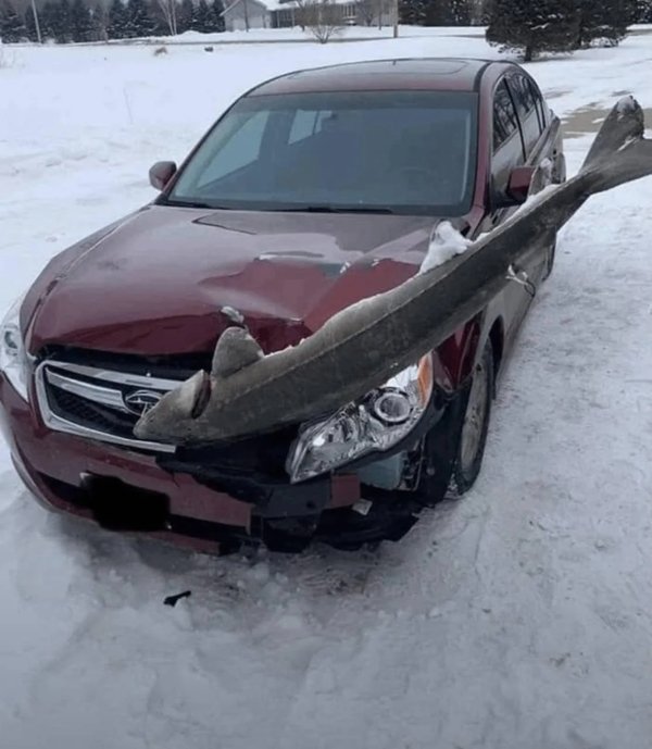 What Is Going On Here? (30 pics)