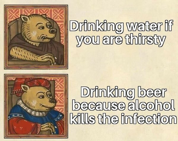 Medieval Memes (25 pics)