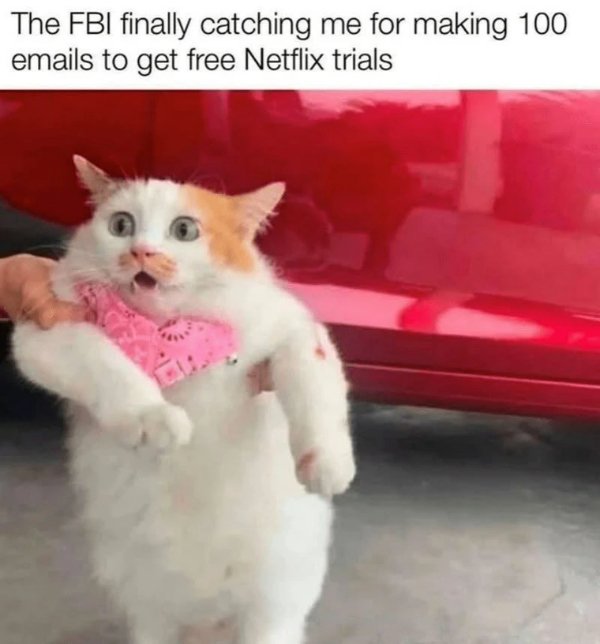 Random Memes (28 pics)