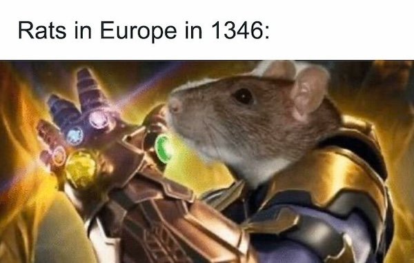 Medieval Memes (25 pics)