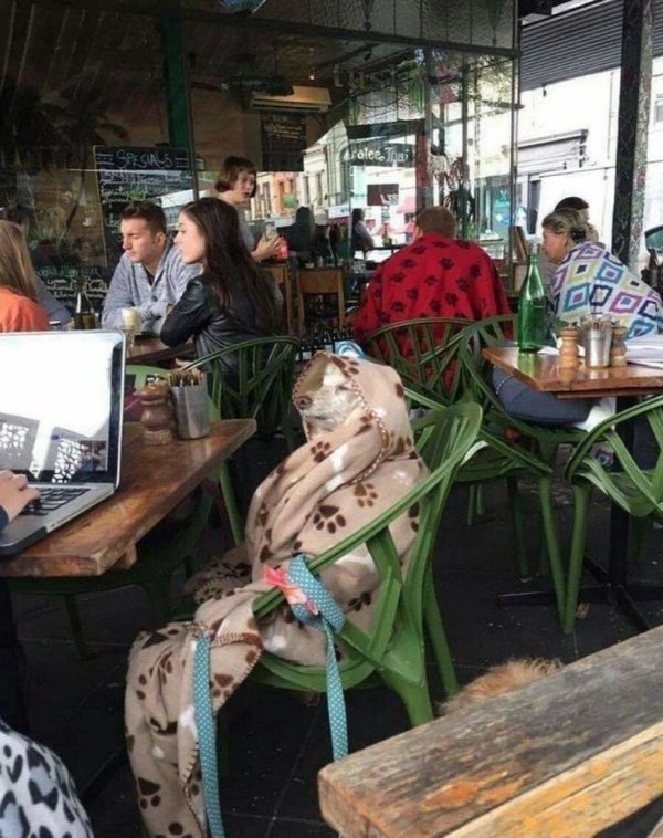 What Is Going On Here? (30 pics)