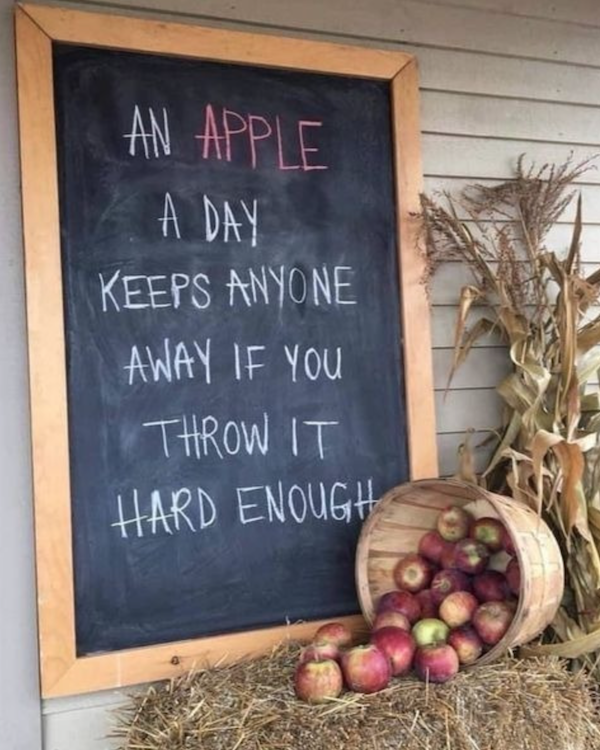 Funny Memes (37 pics)