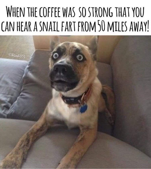 Funny Memes (37 pics)